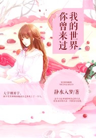 我的世界你曾来过