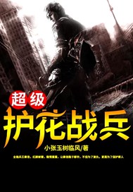 超级护花战兵
