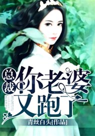 总裁你老婆又跑了