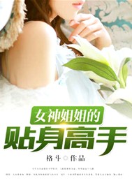 女神姐姐的贴身高手