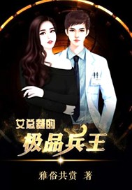 女总裁的极品兵王