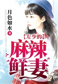 左少的麻辣鲜妻