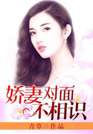 娇妻对面不相识