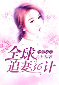 抢婚66天：全球追妻36计