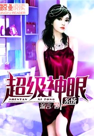 超级神眼系统
