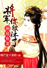 洞房弃妻：将军，你被休了