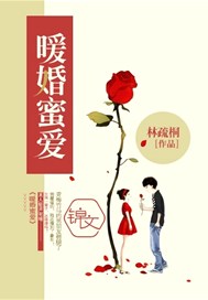 暖婚蜜爱