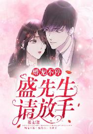 婚宠不停：盛先生，请放手