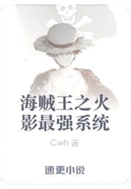 海贼王之火影最强系统