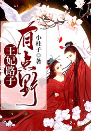 王妃路子有点野