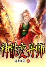 神能变丹师