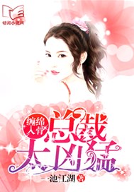 缠绵入骨：总裁太凶猛
