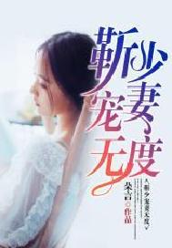 靳少宠妻无度