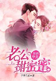 宠婚挚爱：老公甜蜜蜜