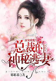 强宠成瘾：总裁的神秘逃妻