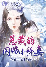 总裁的闪婚小娇妻