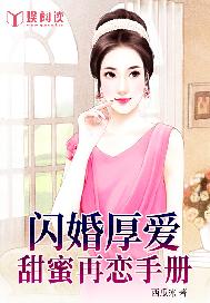 闪婚厚爱：甜蜜再恋手册